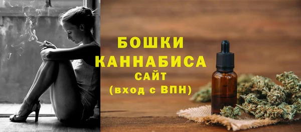 ГАЛЛЮЦИНОГЕННЫЕ ГРИБЫ Осташков