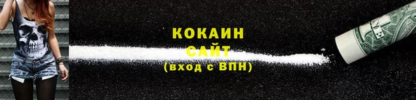 ГАЛЛЮЦИНОГЕННЫЕ ГРИБЫ Осташков