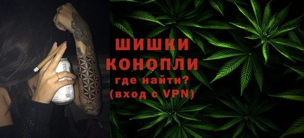 ГАЛЛЮЦИНОГЕННЫЕ ГРИБЫ Осташков