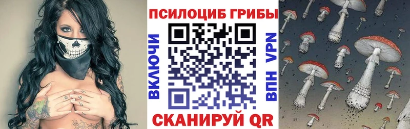 купить  сайты  ОМГ ОМГ зеркало  Псилоцибиновые грибы мухоморы  Шилка 